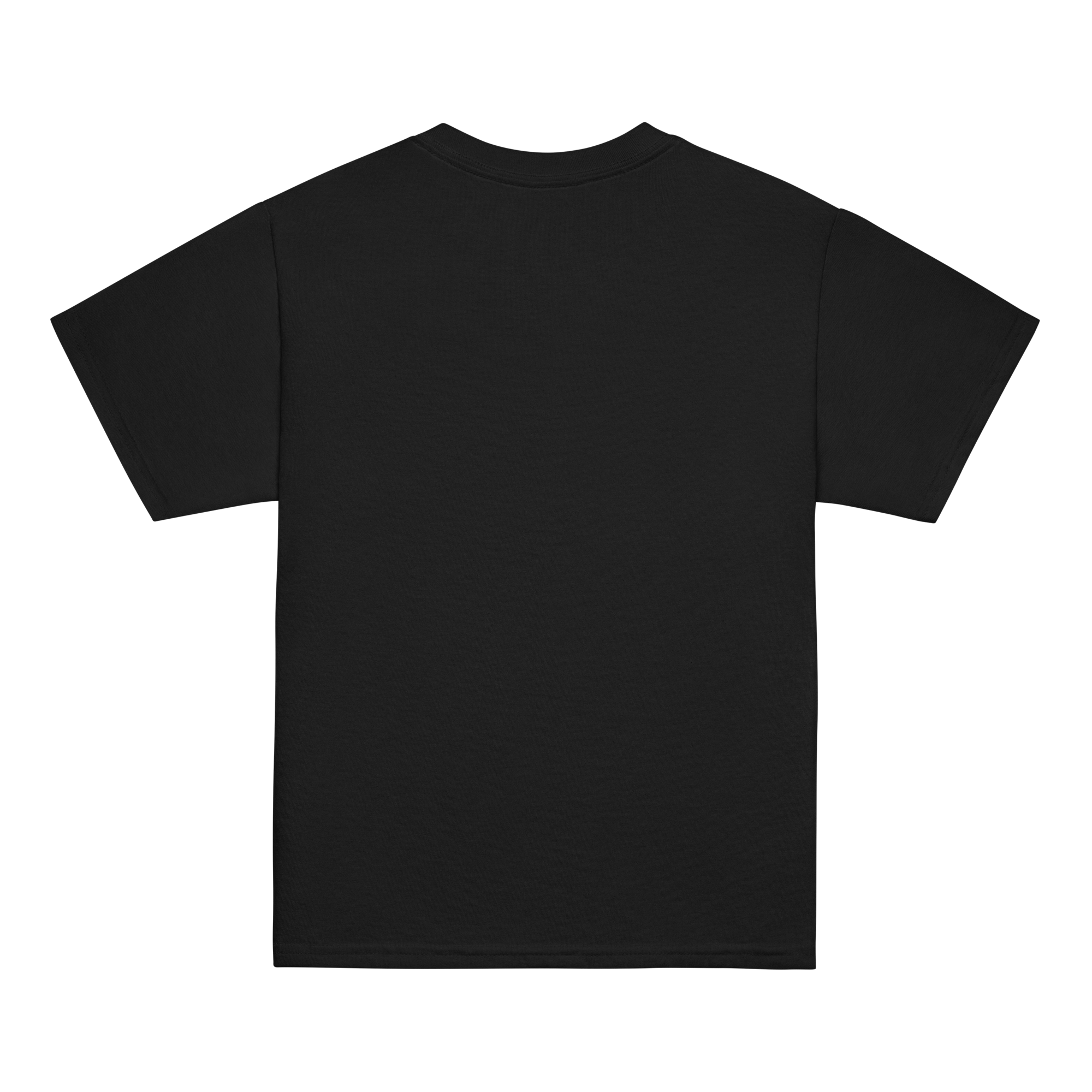 Kids Premium Cotton T-shirts